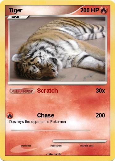 Pokemon Tiger