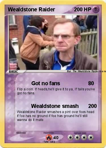 Pokemon Wealdstone Raider