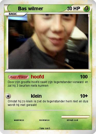 Pokemon Bas wilmer