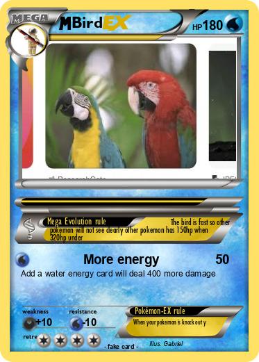 Pokemon Bird