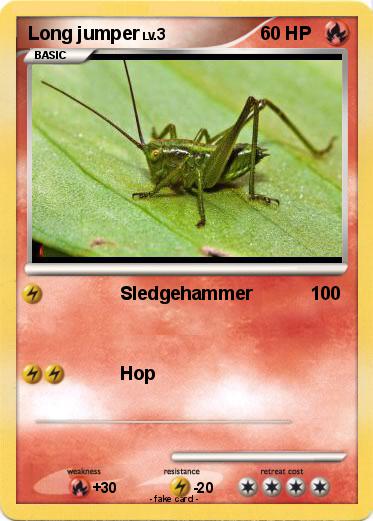Pokemon Long jumper