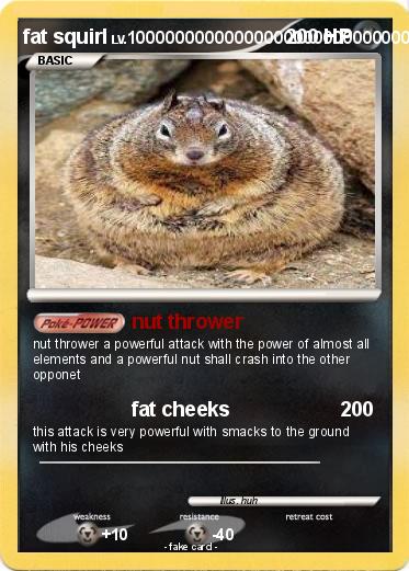 Pokemon fat squirl