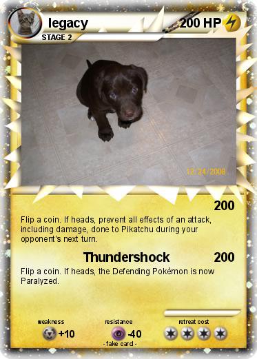 Pokemon legacy