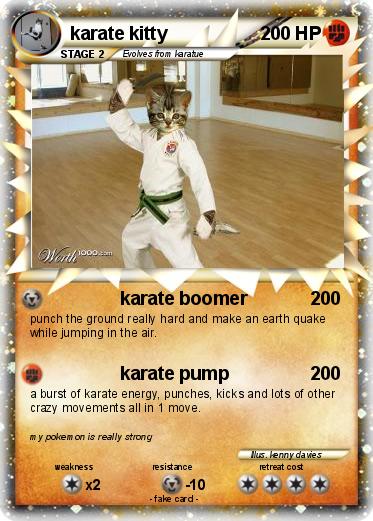 Pokemon karate kitty