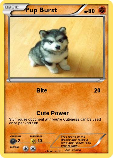 Pokemon Pup Burst