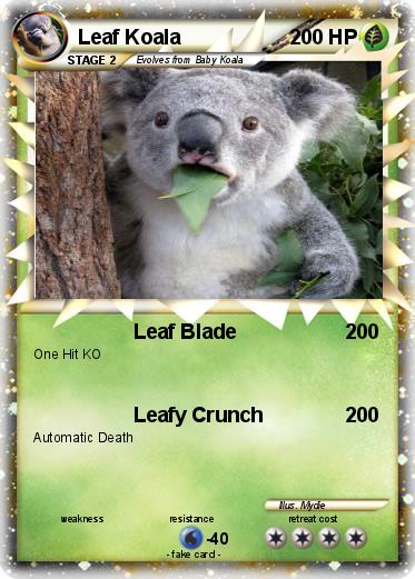 Pokemon Leaf Koala