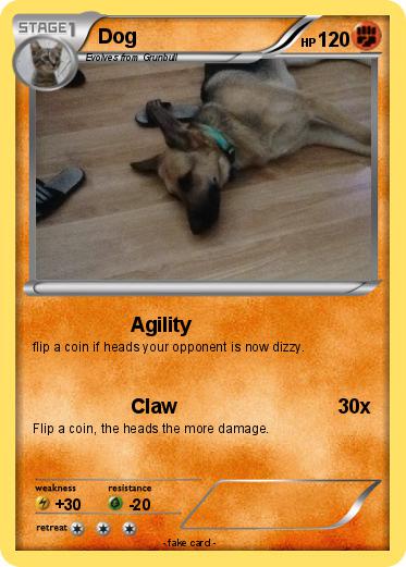 Pokemon Dog