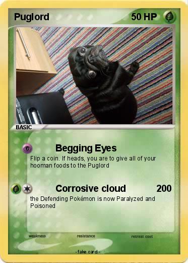 Pokemon Puglord