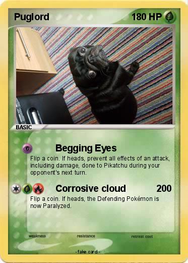 Pokemon Puglord