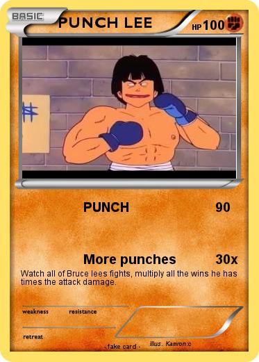 Pokemon PUNCH LEE