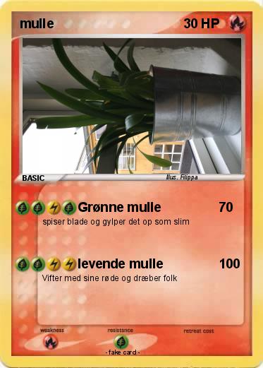 Pokemon mulle