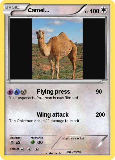 Pokemon Camel...