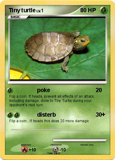 Pokemon Tiny turtle
