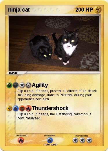 Pokemon ninja cat