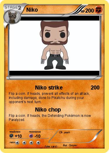 Pokemon Niko