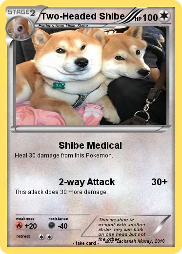 Pokemon Two-Headed Shibe