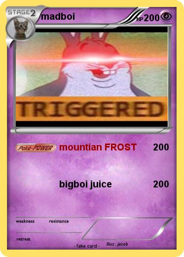 Pokemon madboi