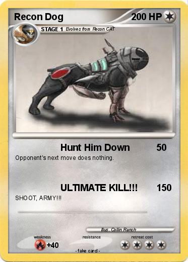 Pokemon Recon Dog