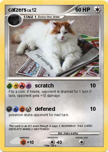 Pokemon catzers
