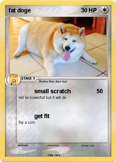 Pokemon fat doge