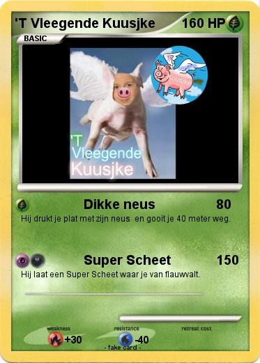 Pokemon 'T Vleegende Kuusjke
