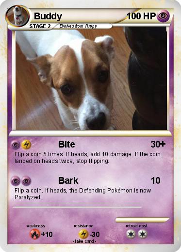 Pokemon Buddy