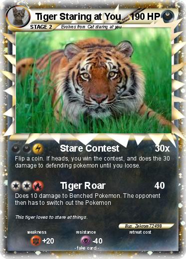 Pokemon Tiger Staring at You