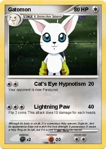 Pokemon Gatomon