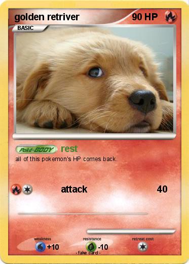 Pokemon golden retriver
