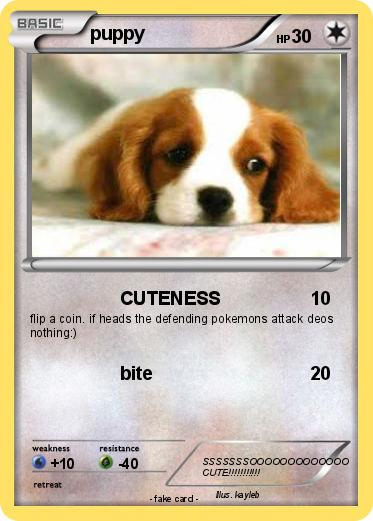 Pokemon puppy