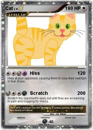 Pokemon Cat