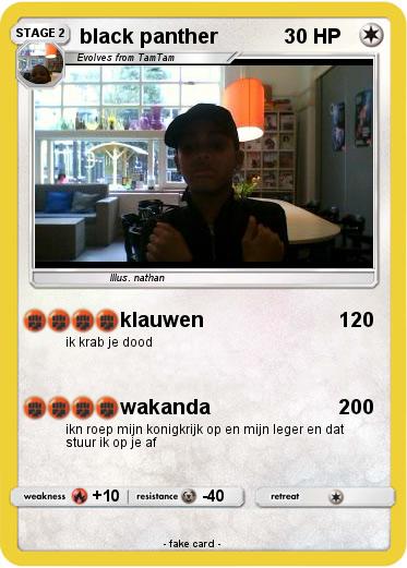 Pokemon black panther