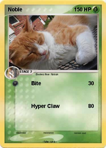 Pokemon Noble
