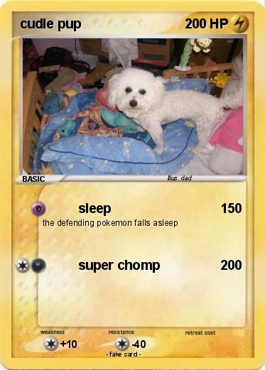 Pokemon cudle pup