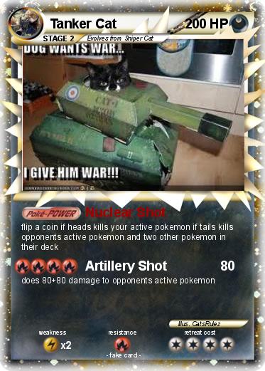 Pokemon Tanker Cat