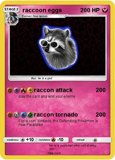 Pokemon raccoon eggs