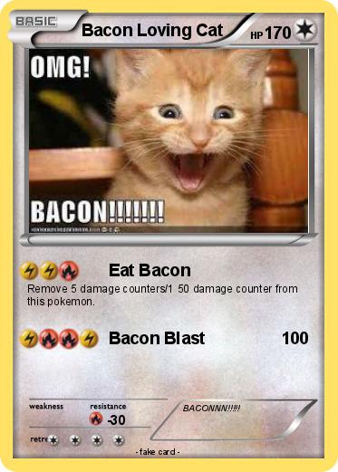 Pokemon Bacon Loving Cat