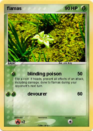 Pokemon flamas