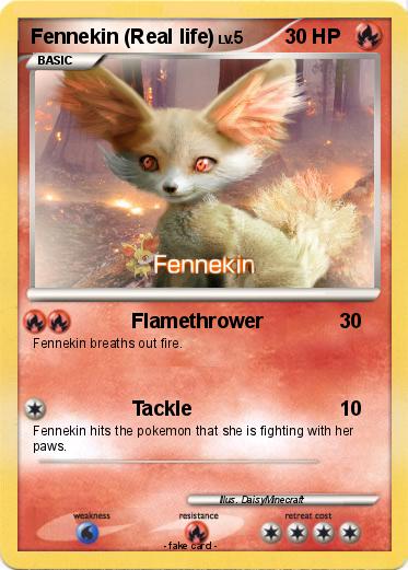 Pokemon Fennekin (Real life)