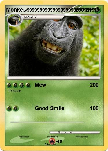Pokemon Monke
