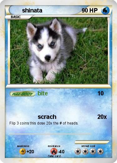 Pokemon shinata
