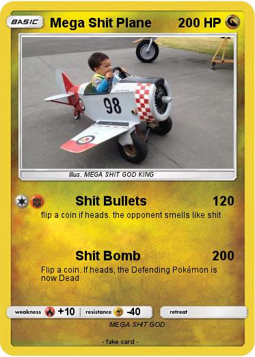 Pokemon Mega Shit Plane