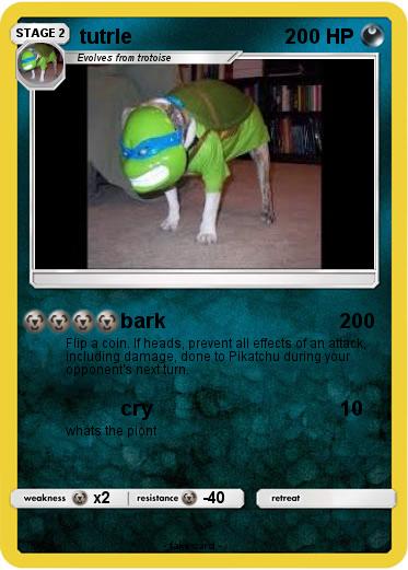 Pokemon tutrle