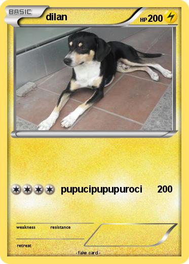 Pokemon dilan