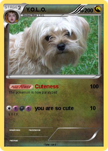 Pokemon Y.O.L.O.