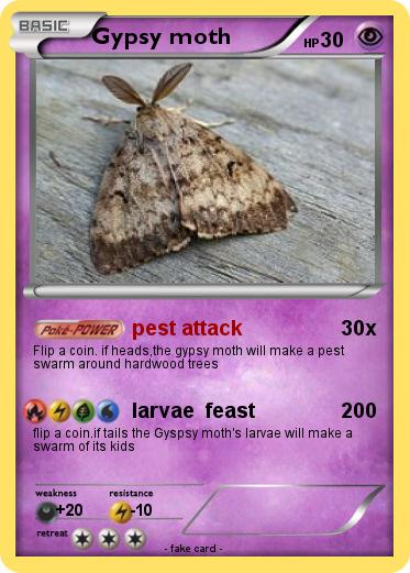 Pokemon Gypsy moth