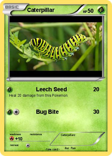 Pokemon Caterpillar