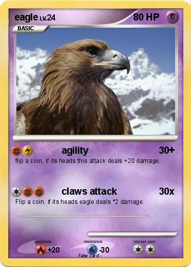 Pokemon eagle