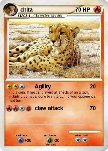 Pokemon chita