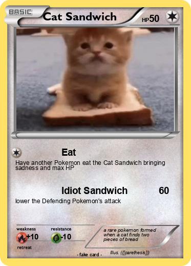 Pokemon Cat Sandwich